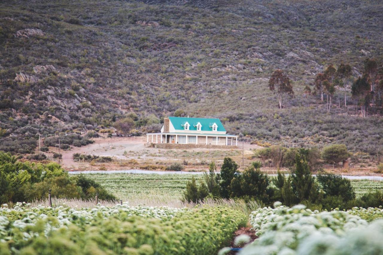 Blue Cow Barn - Boutique Farm Guest House Баридейл Екстериор снимка