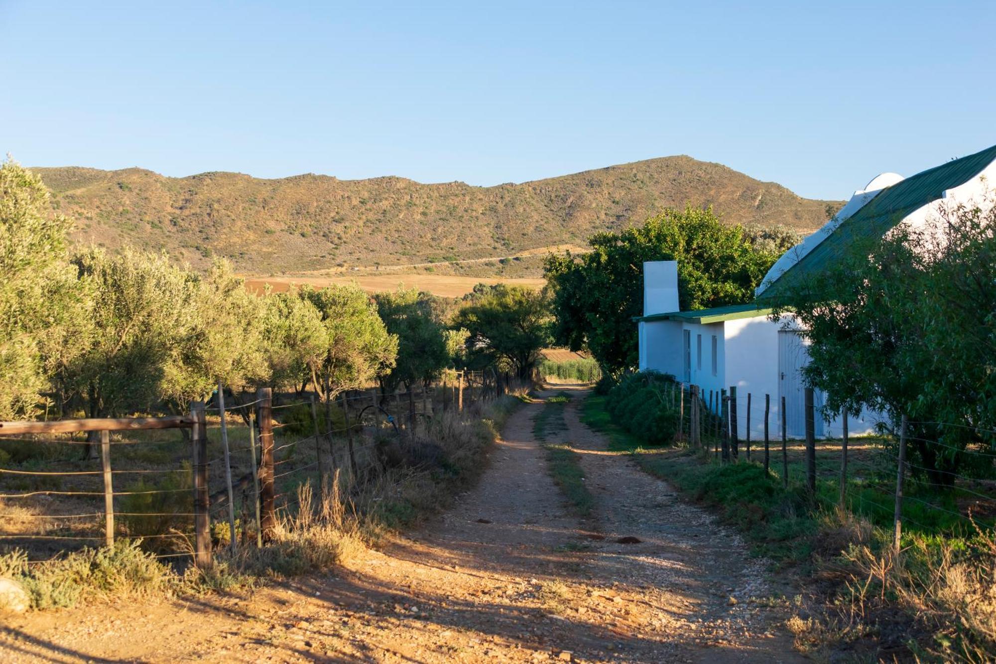 Blue Cow Barn - Boutique Farm Guest House Баридейл Екстериор снимка